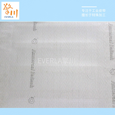 PU裙边加挡板输送带